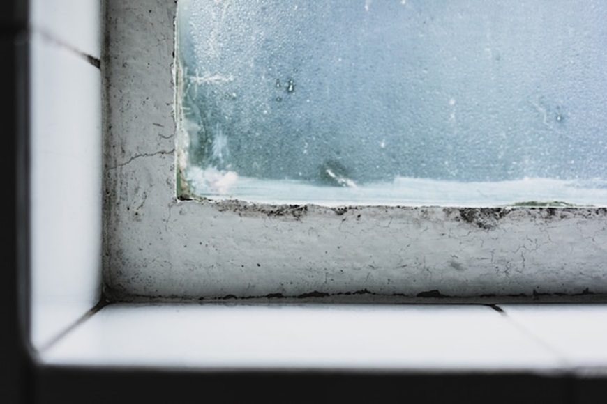A Comprehensive Guide to Eliminating Black Mold on Windows