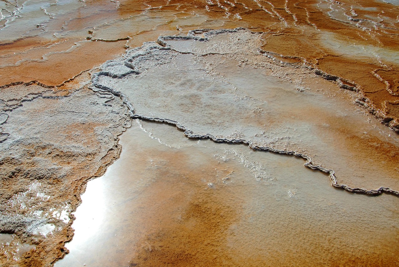 Travertine, mammoth hot springs, yellowstone national park — Buy Weed Online Canada with Fast Shipping and Trusted Local Disp