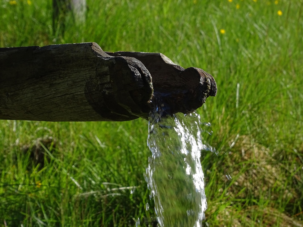 Water feature, meadow, watercourse — Migliori casino non AAMS con cashback e rimborsi